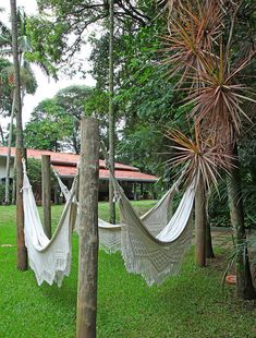 two hammocks hanging from trees in the grass