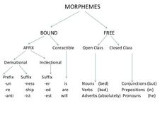 a diagram with the words morphemes and other things to describe in it