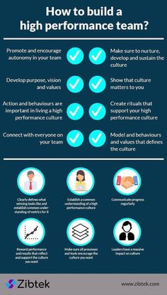 how to build a high - performance team? infographical poster by zibek