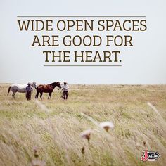 two horses in a field with the words wide open spaces are good for the heart