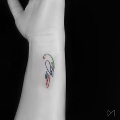 Minimal Parrot Outline Tattoo Parrot Outline Tattoo, Eclectus Parrot Tattoo, Cute Parrot Tattoo, Parrot Head Tattoo, Tiny Parrot Tattoo, Macaw Parrot Tattoo, Fine Line Parrot Tattoo, Simple Parrot Tattoo, Parrot Tattoo Small Simple