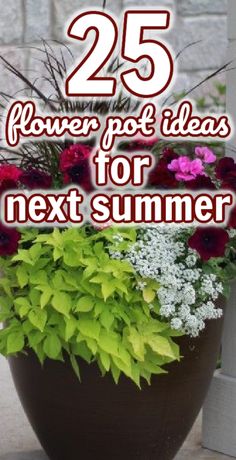 flowers in a pot with the words 25 flower pot ideas for next summer