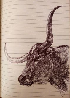 a drawing of a bull's head is shown in an open notebook with lined paper