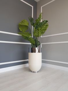 a potted plant in a white vase on a wooden floor next to a gray wall