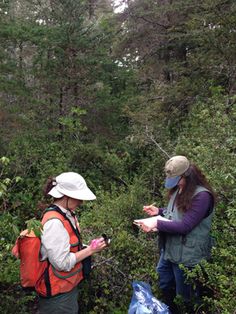 two women are standing in the woods looking at something on their cell phones and one is wearing a face mask