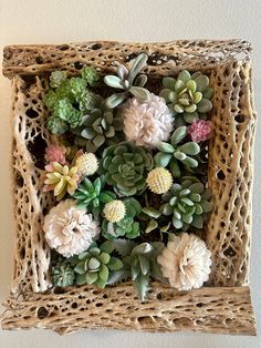 a bunch of succulents are placed in a wicker frame on the wall