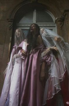 two women dressed in wedding gowns standing next to each other with veils over their heads