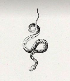 a black and white drawing of a snake