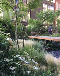 a man is standing on a bench in the middle of a garden with tall grass and flowers