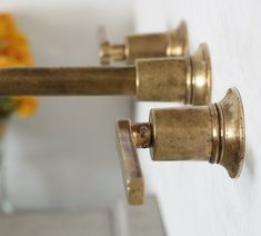 two brass handles on a white wall with flowers in the background