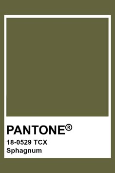 Pantone Olive Green, Khaki Pantone, Olive Pantone