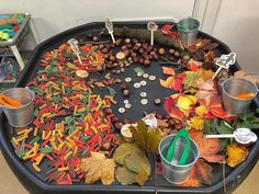 a black tray filled with lots of different types of leaves and other things on top of it