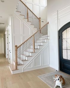 a dog sitting on the floor in front of a stair case