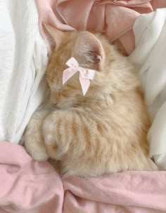 an orange cat with a pink bow laying on top of a white bedding sheet