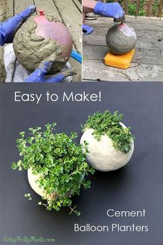 three different pictures showing how to make cement ball planters with plants growing out of them