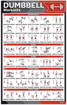 the dumbbell workout chart is shown in red and white