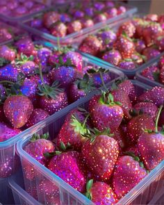 several plastic containers filled with lots of purple strawberries covered in pink and gold glitter