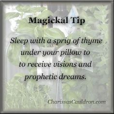 Magickal Tip of the Day – Sprig of Thyme | Witches Of The Craft® Prophetic Dreams, Under Your Spell, Magick Spells, Eclectic Witch, Magical Herbs, Wiccan Spell Book, Witchcraft Spell Books, Witch Spell Book, Wicca Witchcraft