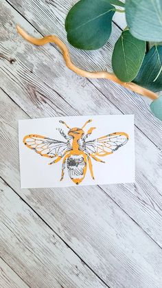 Bee Car Decal Wild Bee Decal Bee Sticker Save the Bees Car Decal Bee Bumper Sticker Car Decal for Women Honeybee Decal Farmhouse Bumble Bee - Etsy Poland Bee Decals, Wild Bees, Bee Sticker, Car Bumper Stickers, Save The Bees, Bumper Sticker, Bumble Bee