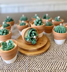 small potted plants sitting on top of wooden plates