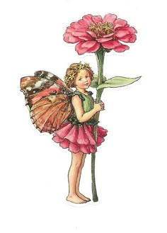 Anna Lee, Fairy Images, Fairy Illustration, Elves And Fairies, Cicely Mary Barker, Fairy Tattoo