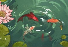 two koi fish swimming in a pond with lily pads