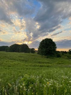 the sun is setting over an open field with tall grass and trees in the distance