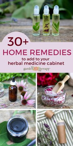 There are so many natural health benefits from plants you can grow. These holistic home remedies are the best items for your herbal medicine cabinet. Diy Kosmetik, Herbal Apothecary