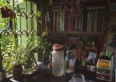 there are many plants and books on the shelf in front of the window sill