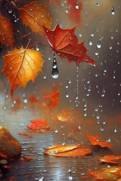 autumn leaves and drops of water falling on the ground