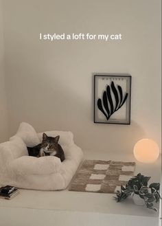 a cat laying on top of a bed next to a lamp and some pictures above it