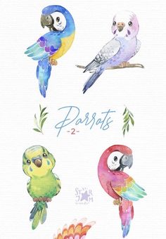 watercolor painting of parrots on white paper with words paris written in blue and green