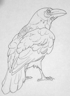 a black and white drawing of a bird