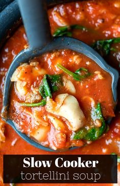 a ladle full of pasta and spinach soup