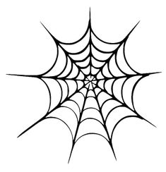 a spider web on a white background