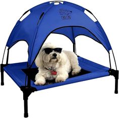 a white dog wearing sunglasses sitting in a blue tent