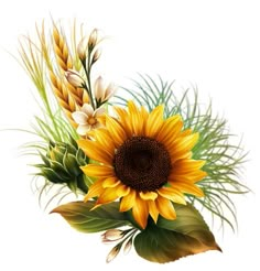 a sunflower and some grass on a white background