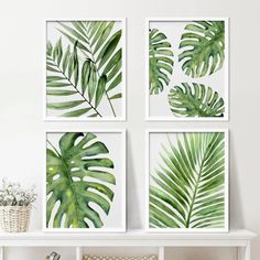 three green leaves are hanging on the wall above a white shelf with baskets and plants