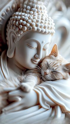 a cat sleeping on top of a statue next to a white buddha head with it's eyes closed