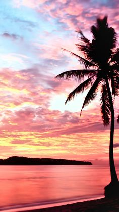 a palm tree sitting on top of a beach next to the ocean under a colorful sky