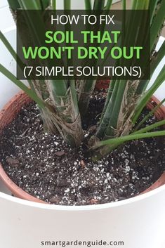 a potted plant with the words how to fix soil that won't dry out 7