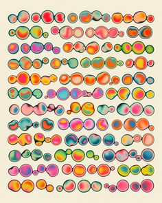 a large group of colorful circles on a white background