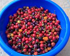 a blue bowl filled with lots of berries on top of a tile floor next to a wall