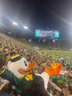 a crowd of people at a football game with mascot on their shoulders and in the stands