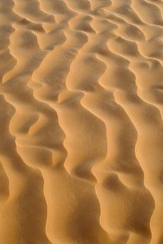 an image of sand dunes in the desert