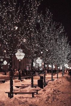 the benches are covered in snow at night with many lights hanging from trees and street lamps