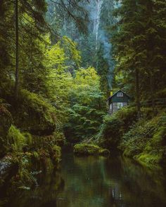 a small cabin in the middle of a forest next to a body of water with trees around it