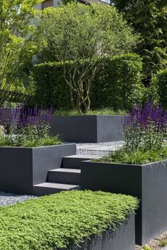 an outdoor garden with various types of plants and flowers in the planter boxes on the ground