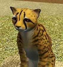 a 3d image of a cheetah cat sitting on the ground with grass in the background