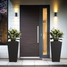 two large planters with plants in front of a modern door and entrance to a house